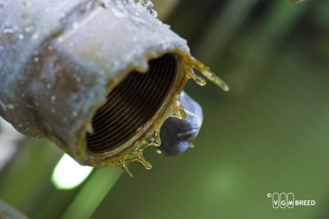 VGM Breed - Nieuwsbericht 21 januari 2021 -Beoordeling gevaarlijke stoffen, vanuit welk perspectief?