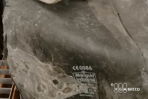 VGM Breed - Nieuwsbericht 24 mei 2021 - Wie trekt deze handschoen aan?